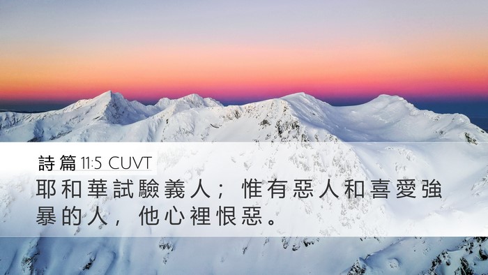 詩 篇 11:5 CUVT Bible Verse Image