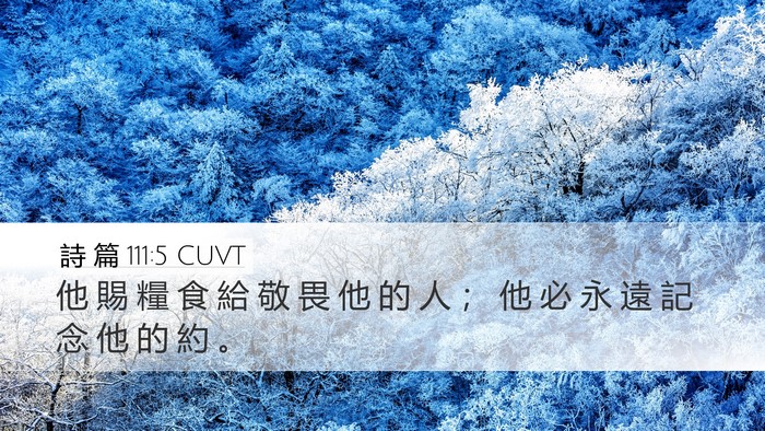 詩 篇 111:5 CUVT Bible Verse Image