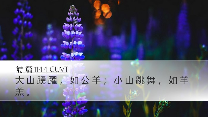 詩 篇 114:4 CUVT Bible Verse Image