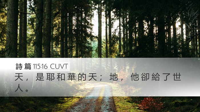 詩 篇 115:16 CUVT Bible Verse Image