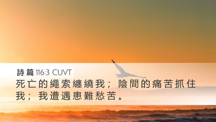 詩 篇 116:3 CUVT Bible Verse Image