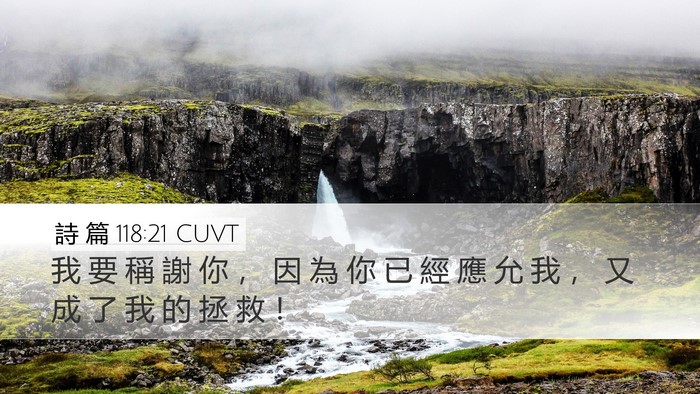 詩 篇 118:21 CUVT Bible Verse Image