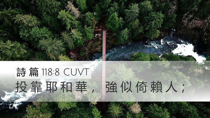 詩 篇 118:8 CUVT Bible Verse Image