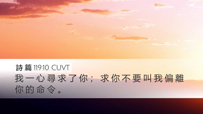 詩 篇 119:10 CUVT Bible Verse Image