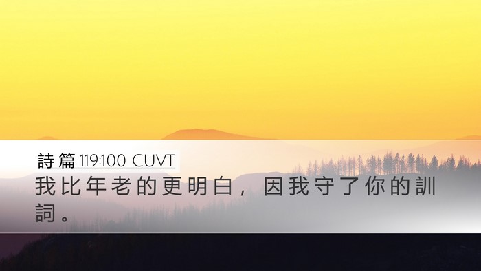 詩 篇 119:100 CUVT Bible Verse Image