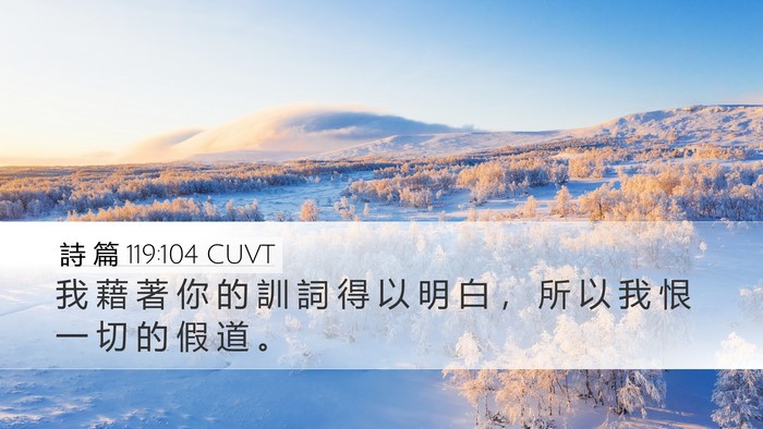 詩 篇 119:104 CUVT Bible Verse Image