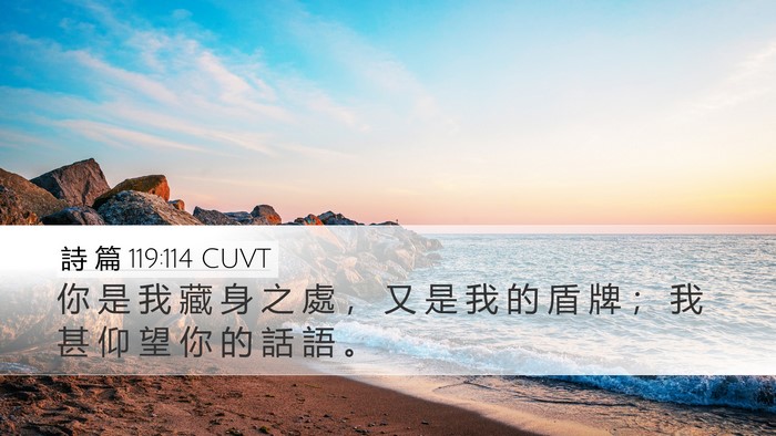 詩 篇 119:114 CUVT Bible Verse Image