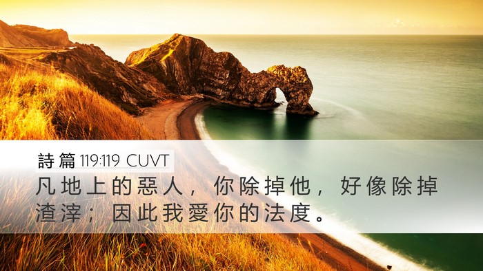 詩 篇 119:119 CUVT Bible Verse Image