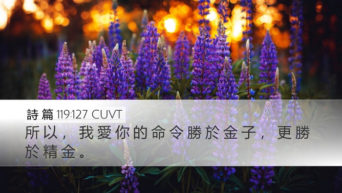 詩 篇 119:127 CUVT Bible Verse Image