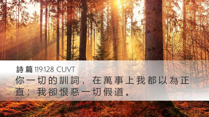 詩 篇 119:128 CUVT Bible Verse Image