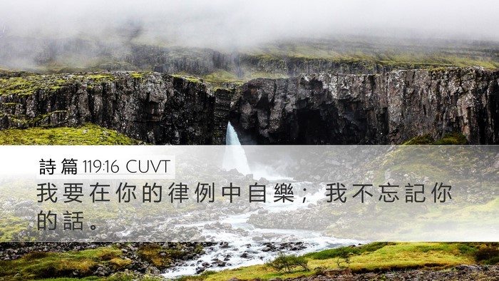 詩 篇 119:16 CUVT Bible Verse Image