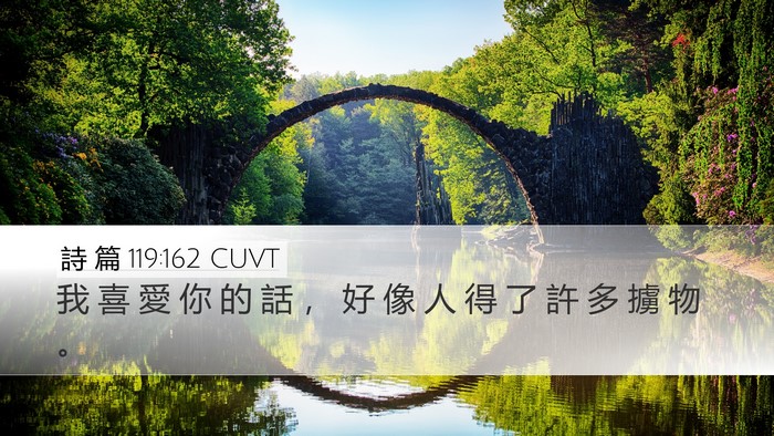 詩 篇 119:162 CUVT Bible Verse Image