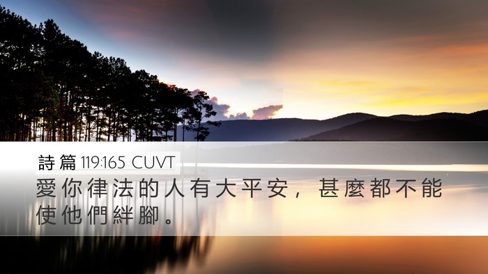 詩 篇 119:165 CUVT Bible Verse Image
