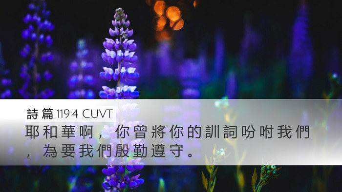 詩 篇 119:4 CUVT Bible Verse Image