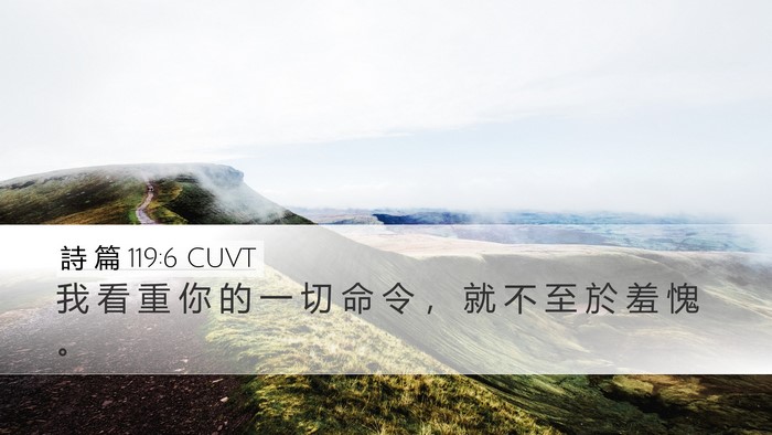 詩 篇 119:6 CUVT Bible Verse Image