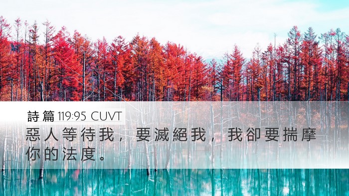 詩 篇 119:95 CUVT Bible Verse Image