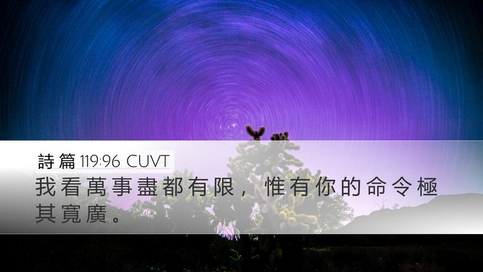 詩 篇 119:96 CUVT Bible Verse Image