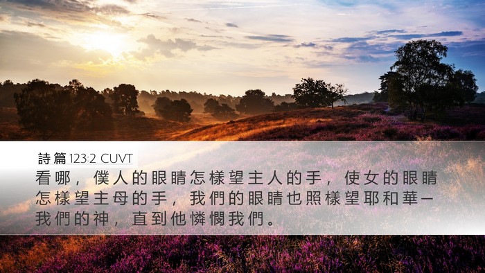 詩 篇 123:2 CUVT Bible Verse Image
