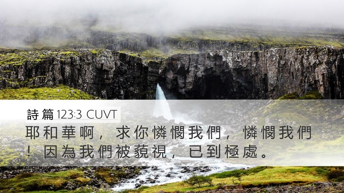 詩 篇 123:3 CUVT Desktop Wallpaper - 耶 和 華 啊 ， 求 你 憐 憫 我 們 ， - Desktop Bible Verse Wallpaper