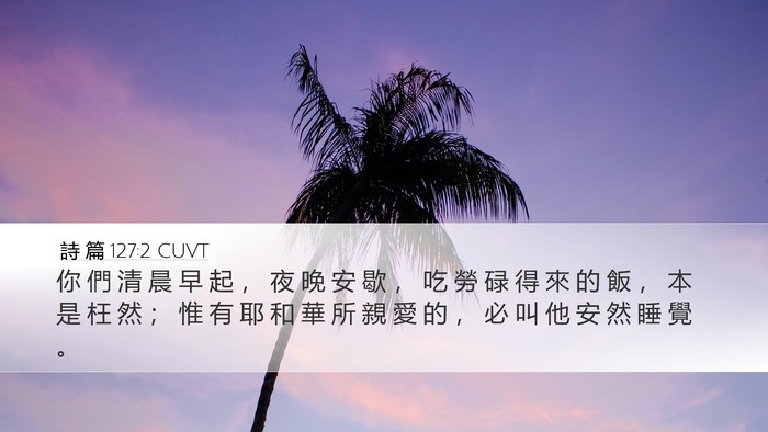 詩 篇 127:2 CUVT Bible Verse Image