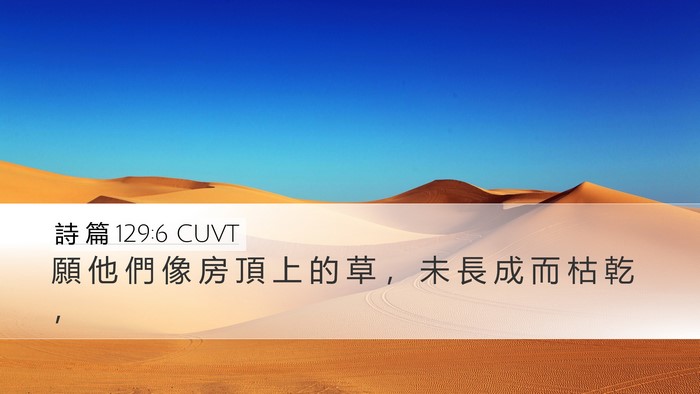 詩 篇 129:6 CUVT Desktop Wallpaper - 願 他 們 像 房 頂 上 的 草 ， 未 長 - Desktop Bible Verse Wallpaper