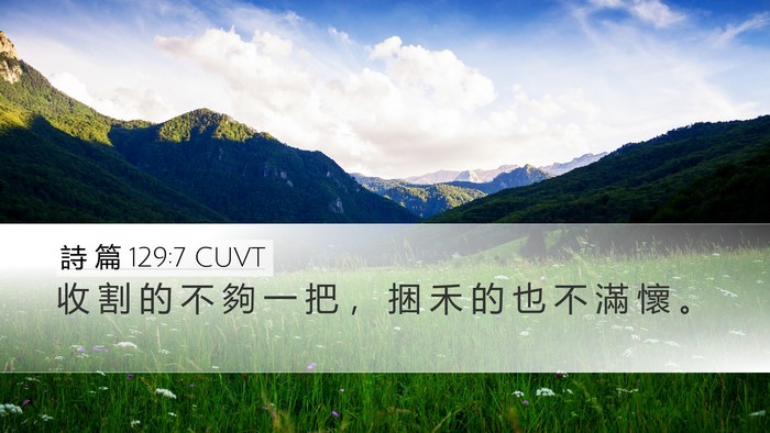 詩 篇 129:7 CUVT Desktop Wallpaper - 收 割 的 不 夠 一 把 ， 捆 禾 的 也 - Desktop Bible Verse Wallpaper