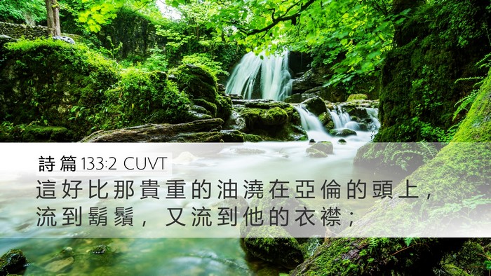 詩 篇 133:2 CUVT Desktop Wallpaper - 這 好 比 那 貴 重 的 油 澆 在 亞 倫 - Desktop Bible Verse Wallpaper