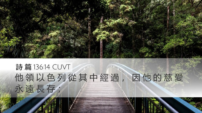 詩 篇 136:14 CUVT Desktop Wallpaper - 他 領 以 色 列 從 其 中 經 過 ， 因 - Desktop Bible Verse Wallpaper