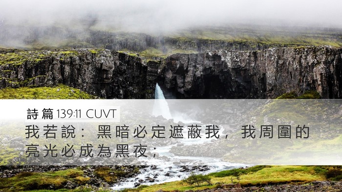 詩 篇 139:11 CUVT Bible Verse Image