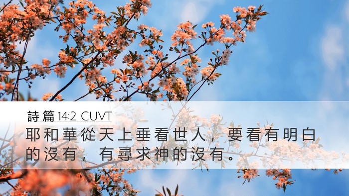詩 篇 14:2 CUVT Bible Verse Image