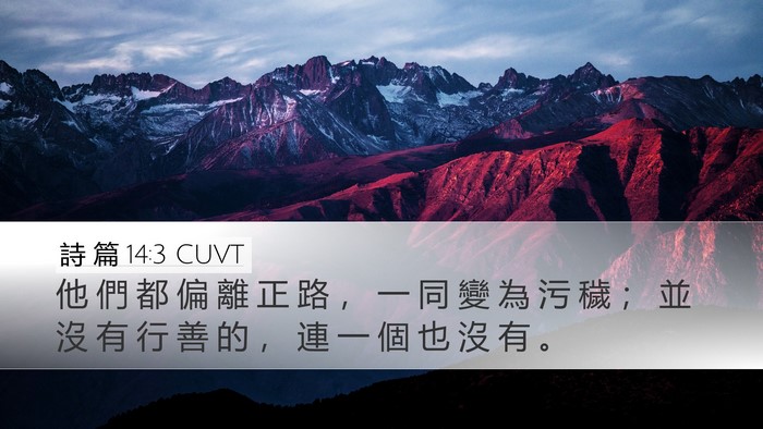 詩 篇 14:3 CUVT Bible Verse Image
