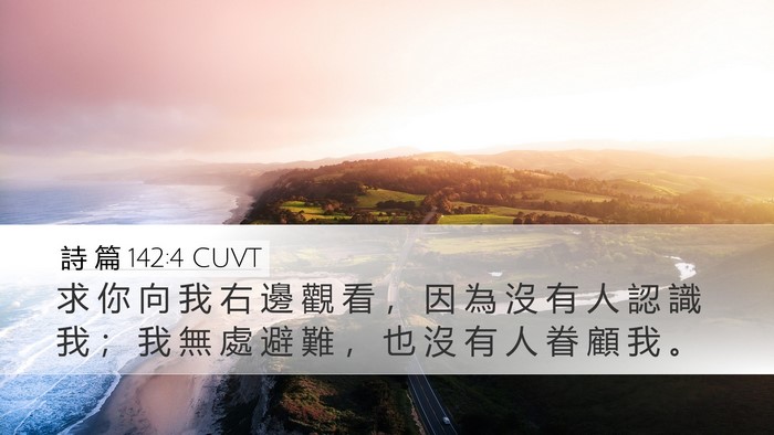 詩 篇 142:4 CUVT Bible Verse Image