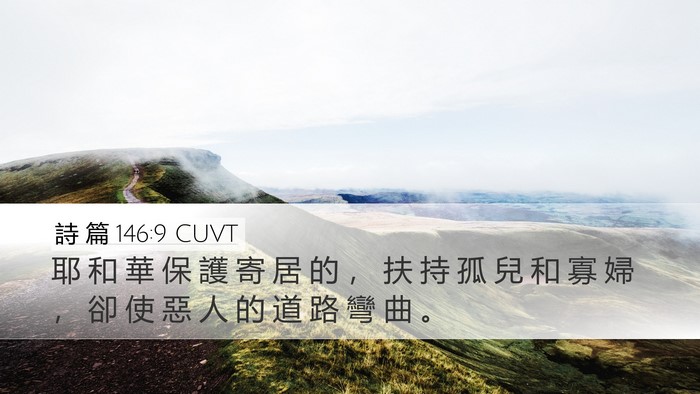 詩 篇 146:9 CUVT Bible Verse Image