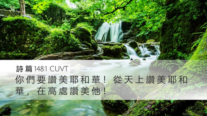 詩 篇 148:1 CUVT Bible Verse Image