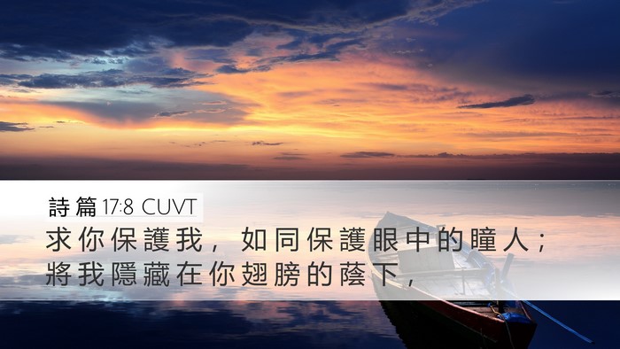 詩 篇 17:8 CUVT Bible Verse Image