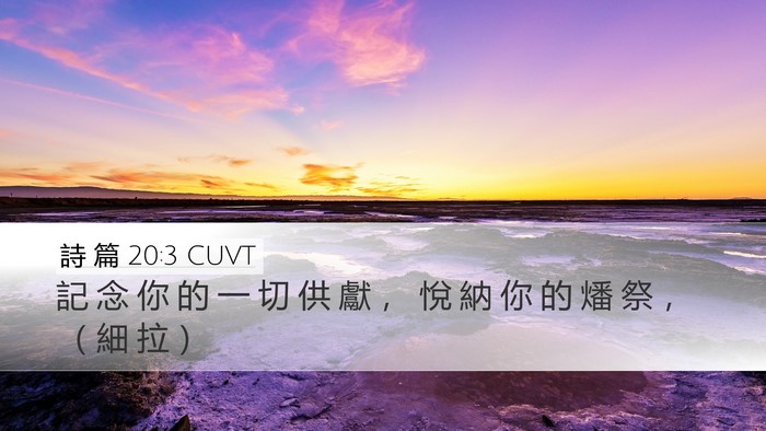 詩 篇 20:3 CUVT Bible Verse Image