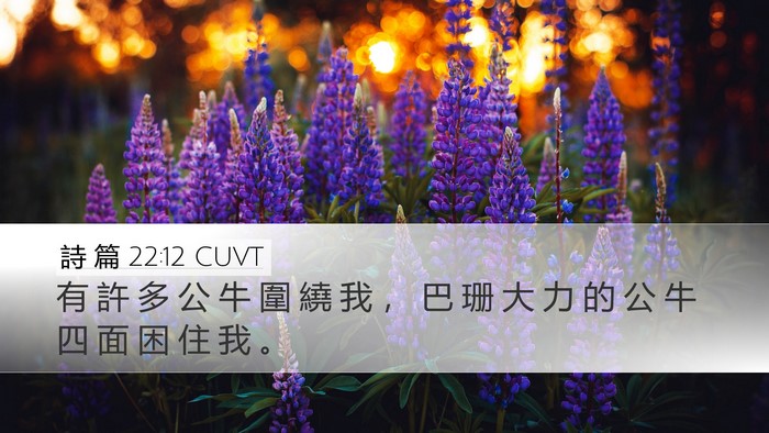 詩 篇 22:12 CUVT Bible Verse Image