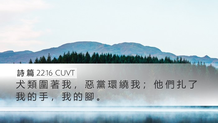 詩 篇 22:16 CUVT Bible Verse Image