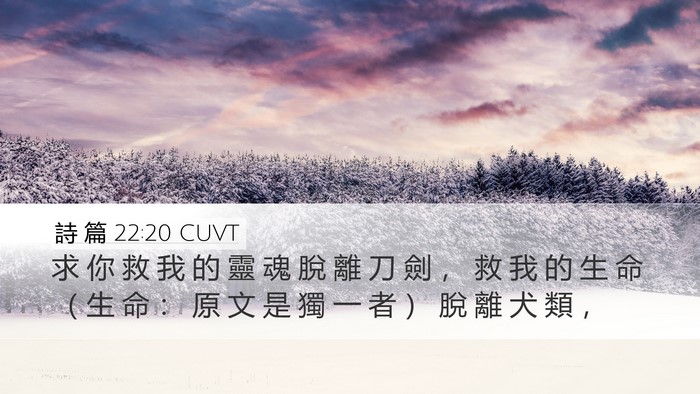 詩 篇 22:20 CUVT Bible Verse Image