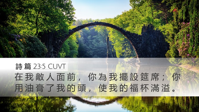 詩 篇 23:5 CUVT Bible Verse Image