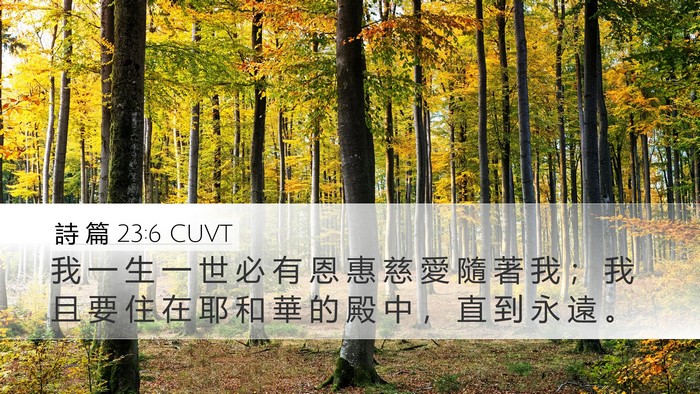 詩 篇 23:6 CUVT Bible Verse Image