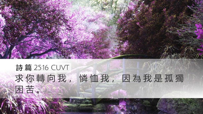 詩 篇 25:16 CUVT Desktop Wallpaper - 求 你 轉 向 我 ， 憐 恤 我 ， 因 為 - Desktop Bible Verse Wallpaper