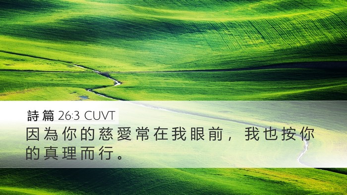 詩 篇 26:3 CUVT Bible Verse Image