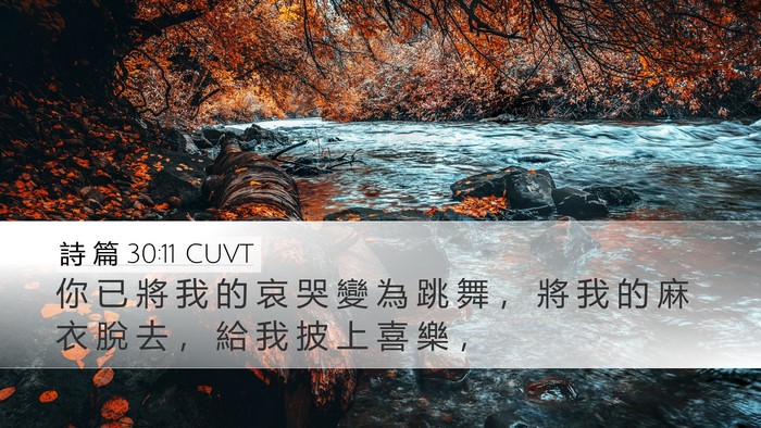 詩 篇 30:11 CUVT Bible Verse Image