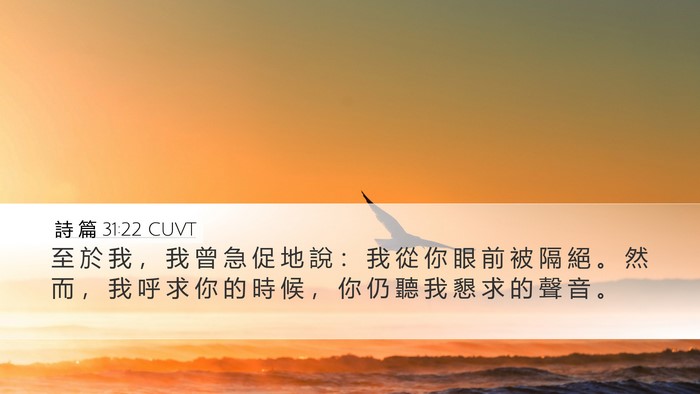 詩 篇 31:22 CUVT Bible Verse Image