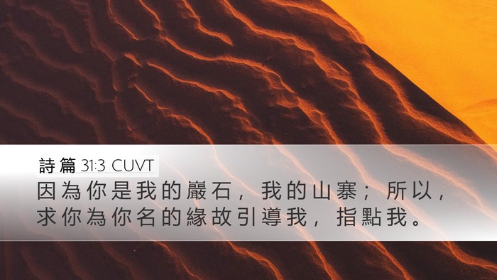 詩 篇 31:3 CUVT Bible Verse Image