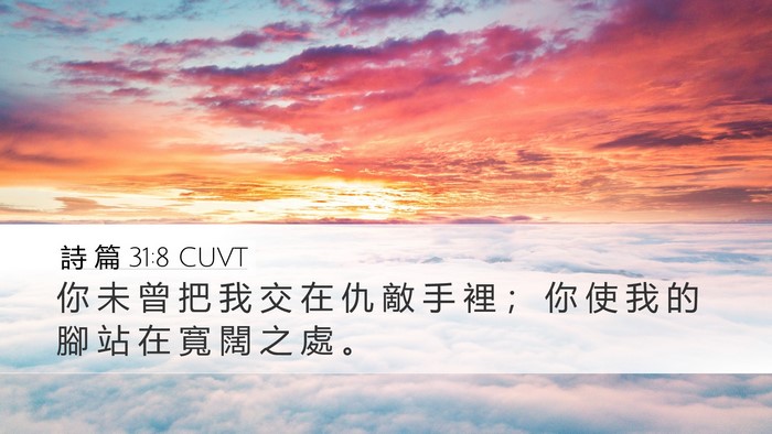 詩 篇 31:8 CUVT Bible Verse Image