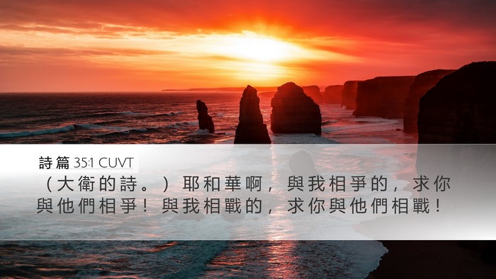 詩 篇 35:1 CUVT Bible Verse Image