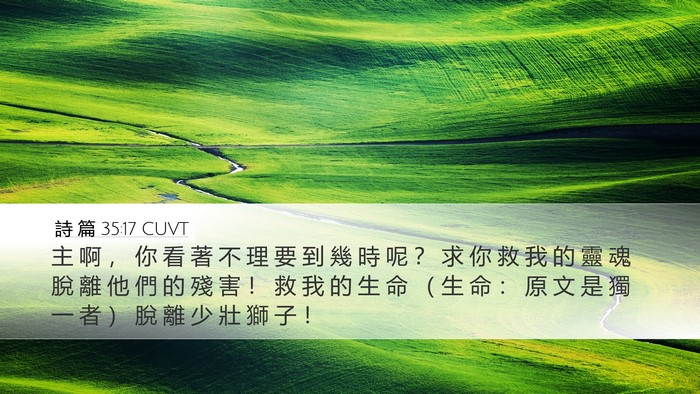 詩 篇 35:17 CUVT Bible Verse Image