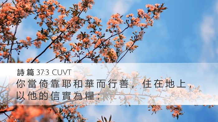 詩 篇 37:3 CUVT Bible Verse Image
